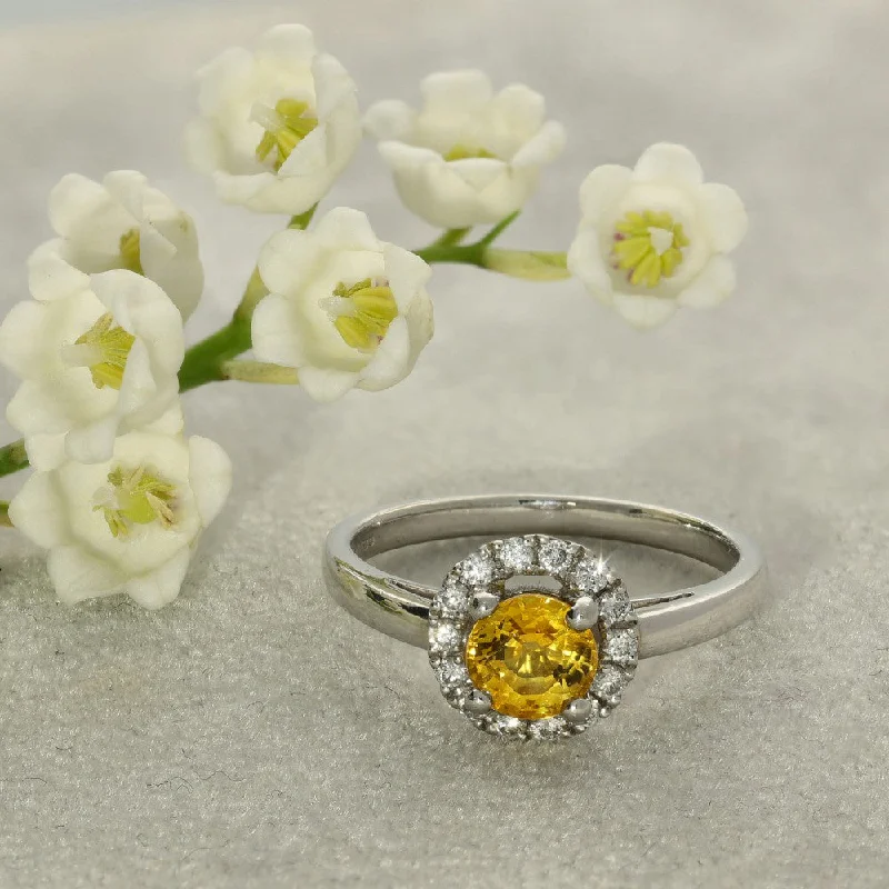 Alexandrite Gemstone Rings with a Chameleon - like Color ChangePlatinum Yellow Sapphire & Diamond Halo Ring