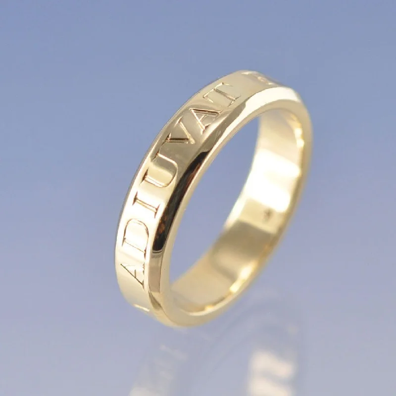 Tungsten Carbide Wedding Bands with Matte Black FinishesCremation Ash Ring with Bevelled Edge