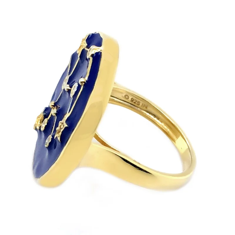 Ruby Gemstone Rings with Intricate Gold Filigree SettingsSterling Silver Over Gold Plated White Zircon With Blue Enamel Aquarius Zodiac Signs Ring