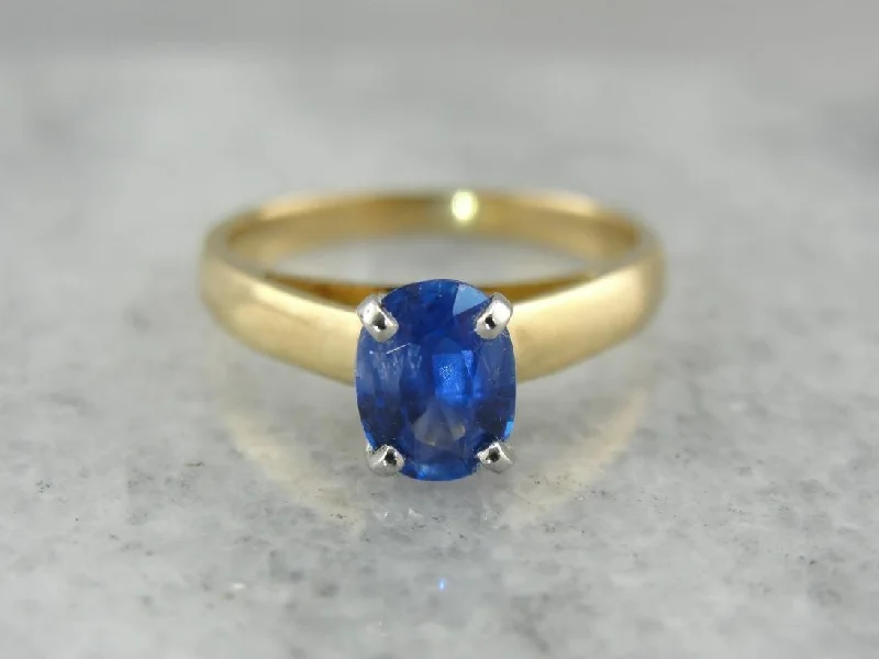 Tanzanite Gemstone Rings with Platinum Milgrain DetailingHigh Set Sapphire Solitaire